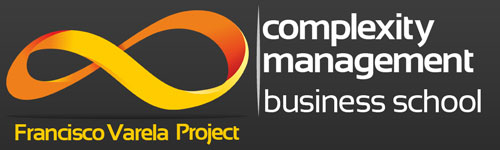 Complexity-Business-School- – Complexity Institute